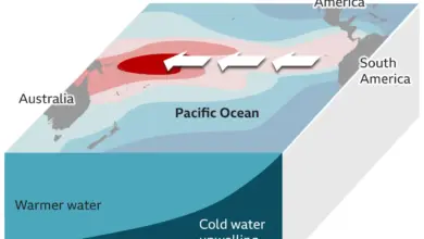 La Nina dan El Nino, Dua Pemicu Cuaca Ekstrem yang Bisa Mengubah Indonesia