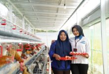 PNM Buktikan Kepatuhan GCG, Penghargaan Most Trusted Companies Jadi Sorotan