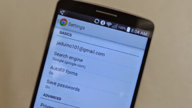 Autofill Chrome di Ponsel Makin Luas, Data Paspor hingga VIN Kini Bisa Terisi Sendiri