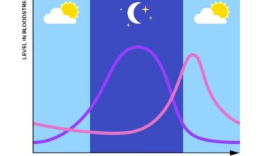 Berjemur 15 Menit Pagi, Efeknya Ternyata Menjangkau Vitamin D Hingga Kualitas Tidur