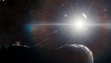 NEOMIR Siap Memburu Asteroid yang Tersembunyi di Silau Matahari