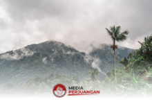Pesisir Masih Tenang, BMKG Ingatkan Kabut Tipis di Pegunungan Jawa Timur