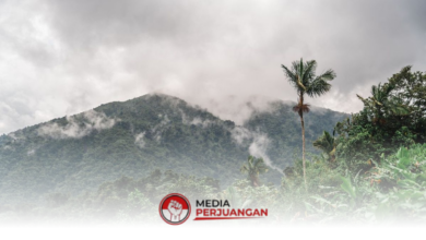 Pesisir Masih Tenang, BMKG Ingatkan Kabut Tipis di Pegunungan Jawa Timur