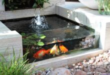 8 Inspirasi Taman Mini dengan Kolam Ikan, Cara Cerdas Ubah Sudut Rumah Jadi Area Healing
