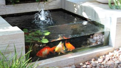 8 Inspirasi Taman Mini dengan Kolam Ikan, Cara Cerdas Ubah Sudut Rumah Jadi Area Healing