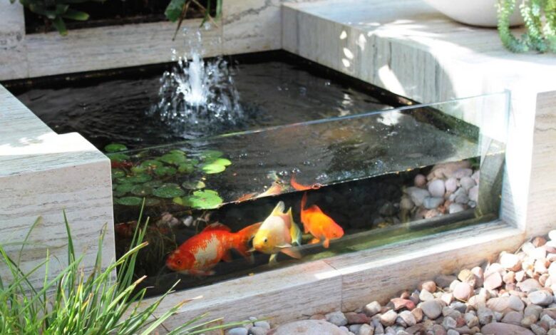 8 Inspirasi Taman Mini dengan Kolam Ikan, Cara Cerdas Ubah Sudut Rumah Jadi Area Healing
