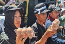 5 Langkah DPRD Jatim Menahan Harga Telur Anjlok, Dari Serapan MBG hingga Buffer Stock