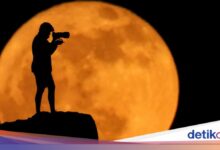 Puncak Strawberry Moon 30 Juni Pagi Hari, Ini Waktu Terbaik Melihatnya di Indonesia