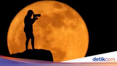 Puncak Strawberry Moon 30 Juni Pagi Hari, Ini Waktu Terbaik Melihatnya di Indonesia