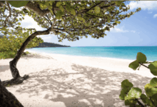 5 Prompt Gemini AI di Tepi Pantai, Hasilnya Tampak Natural dan Berkelas