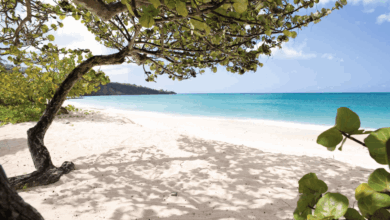 5 Prompt Gemini AI di Tepi Pantai, Hasilnya Tampak Natural dan Berkelas